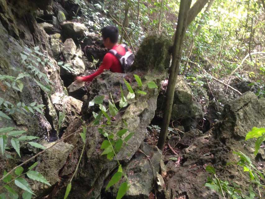 Jungle-trekking-Phong-Nha-klimmen