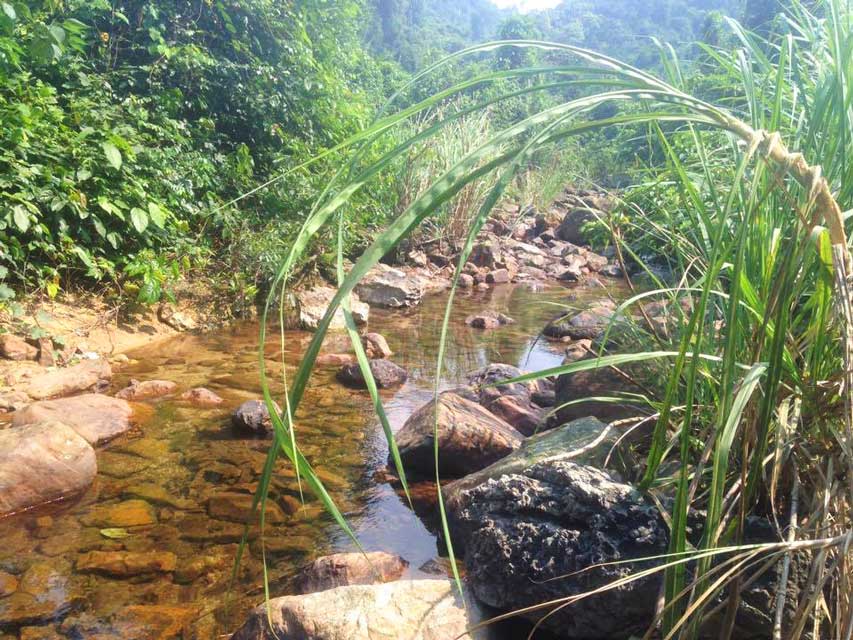 Jungle-trekking-Phong-Nha-rivier