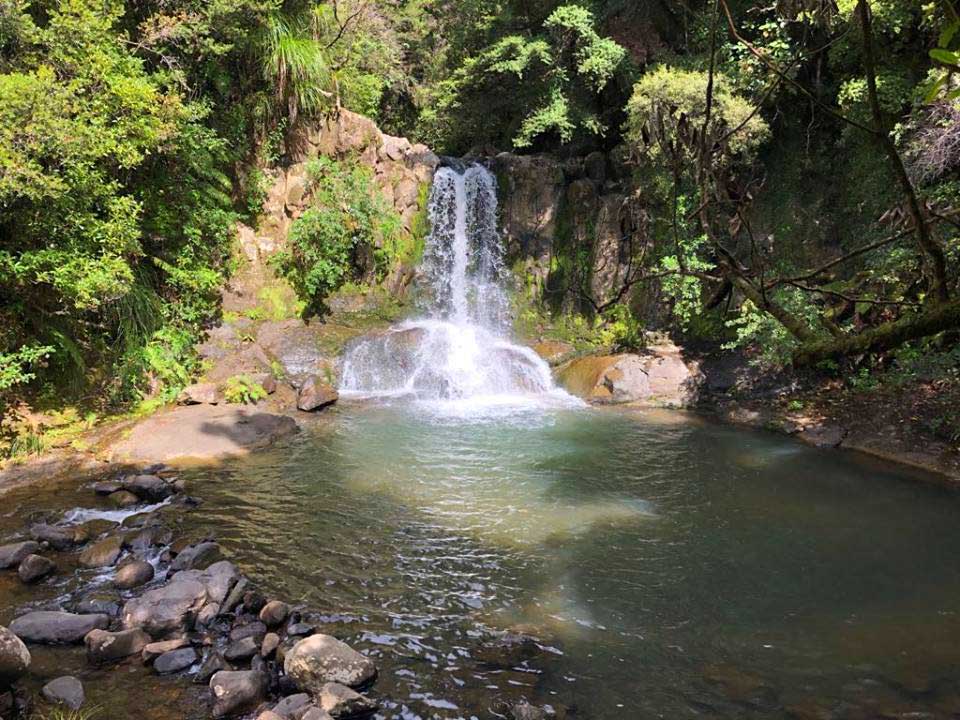 Waiau-Falls-Coromandel
